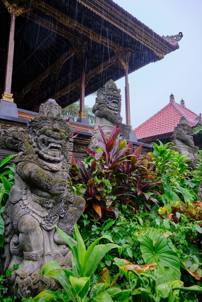 Ubud 34