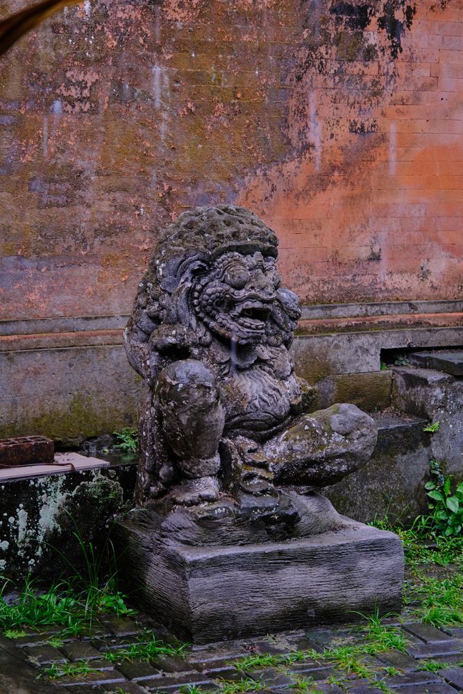 Ubud 35