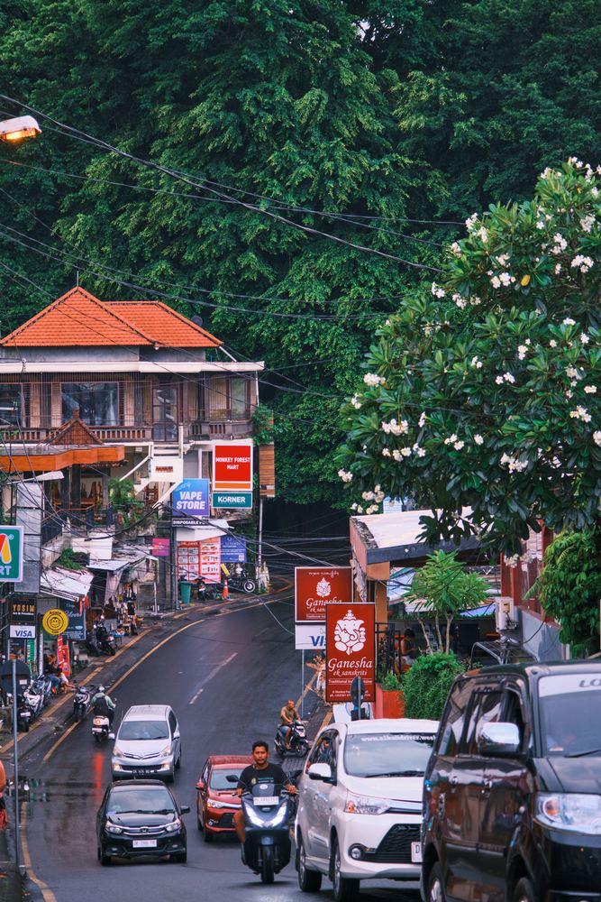 Ubud 39