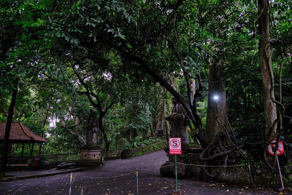 Ubud 47