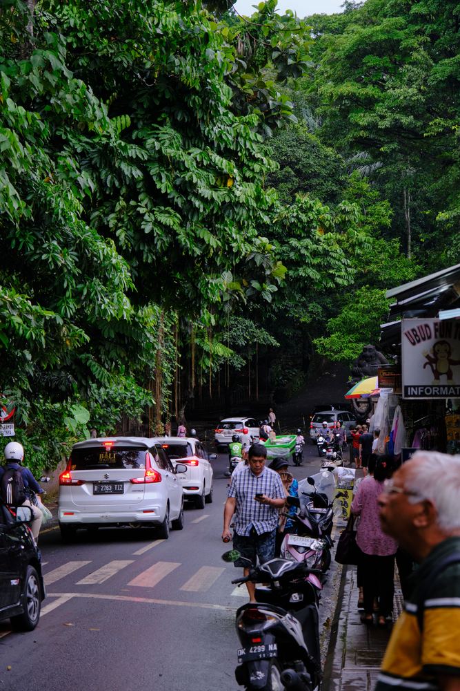 Ubud 48