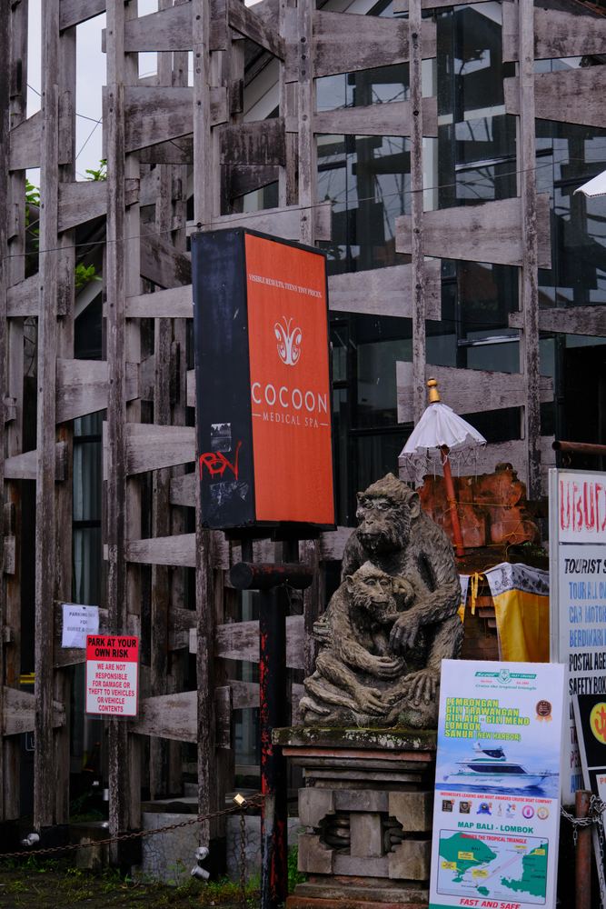 Ubud 49