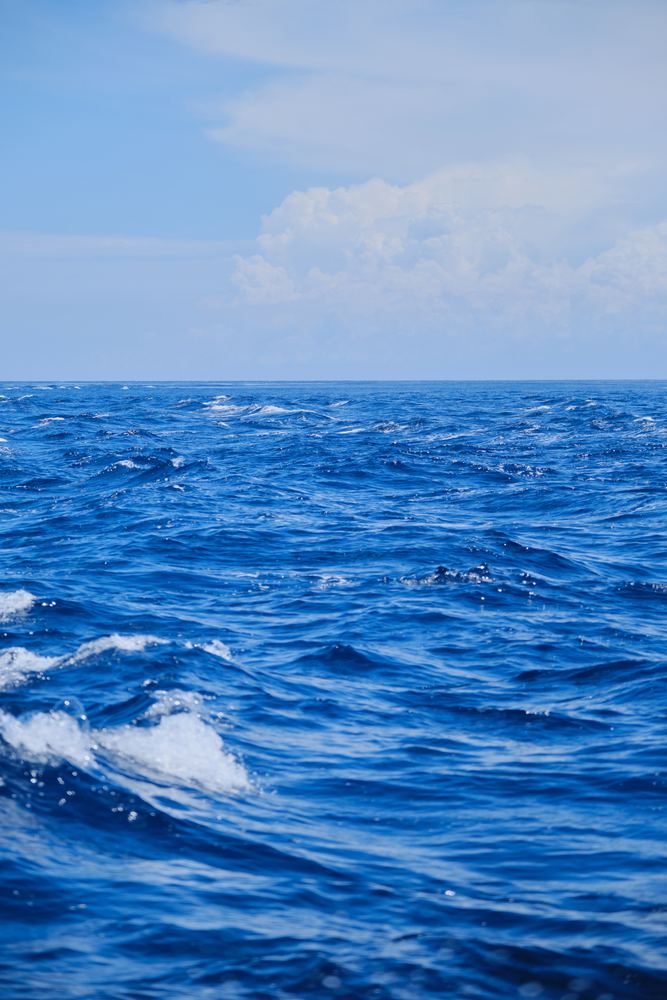Nusa Penida 8