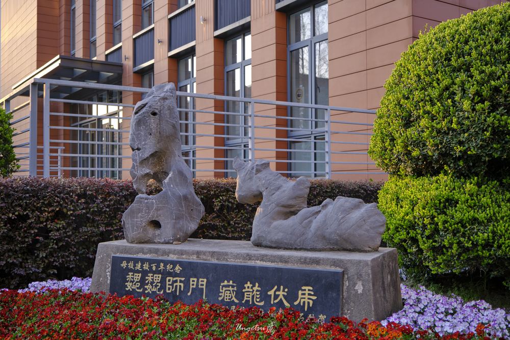交大樱花 21