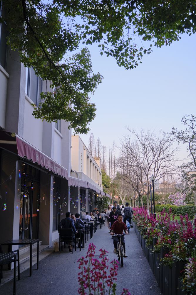 交大樱花 40
