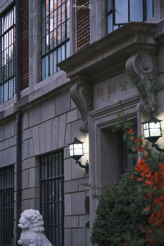 交大樱花 46