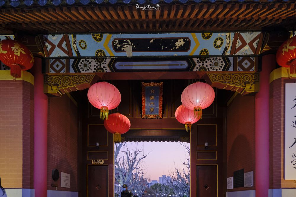 交大樱花 58
