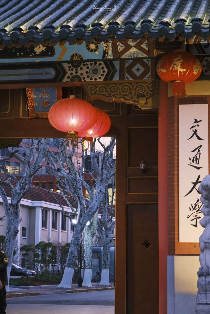交大樱花 63