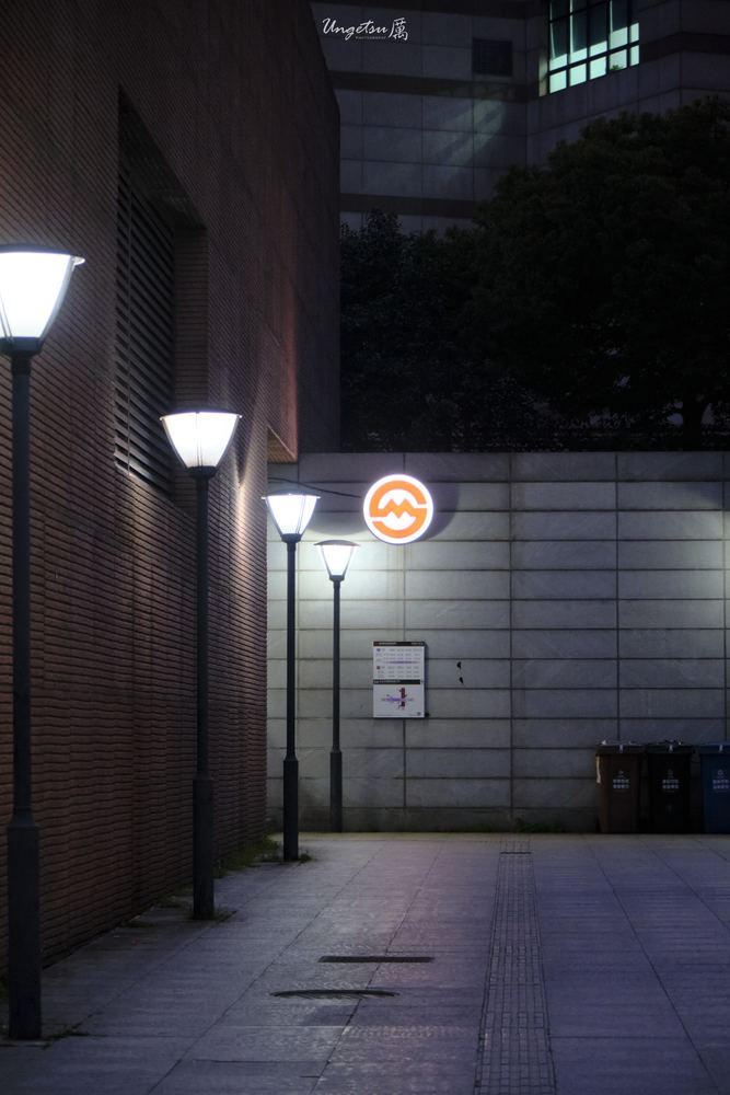 交大樱花 73