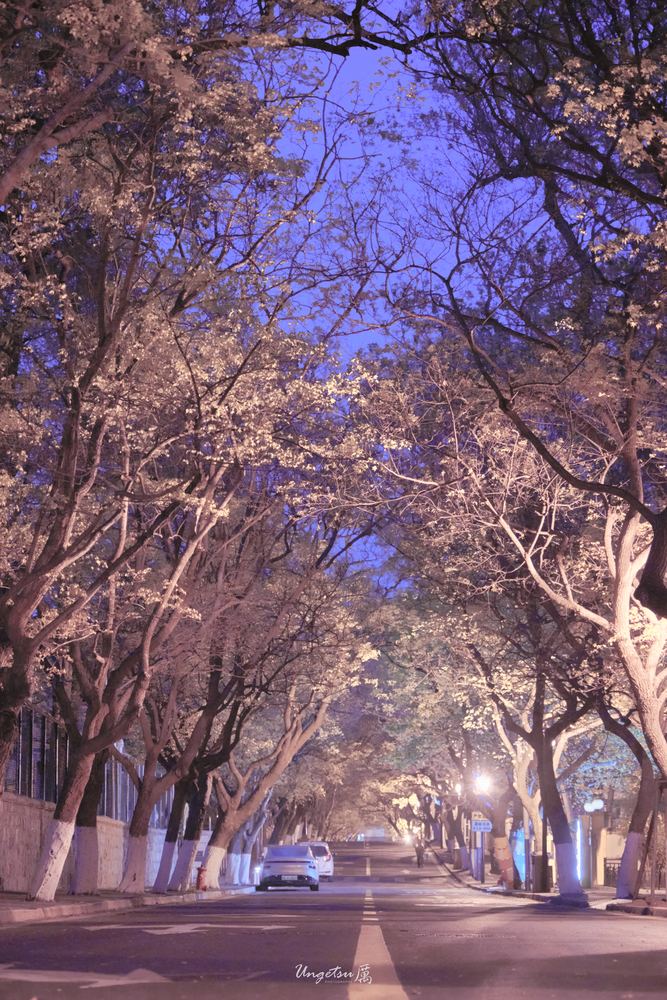 青岛之行 2
