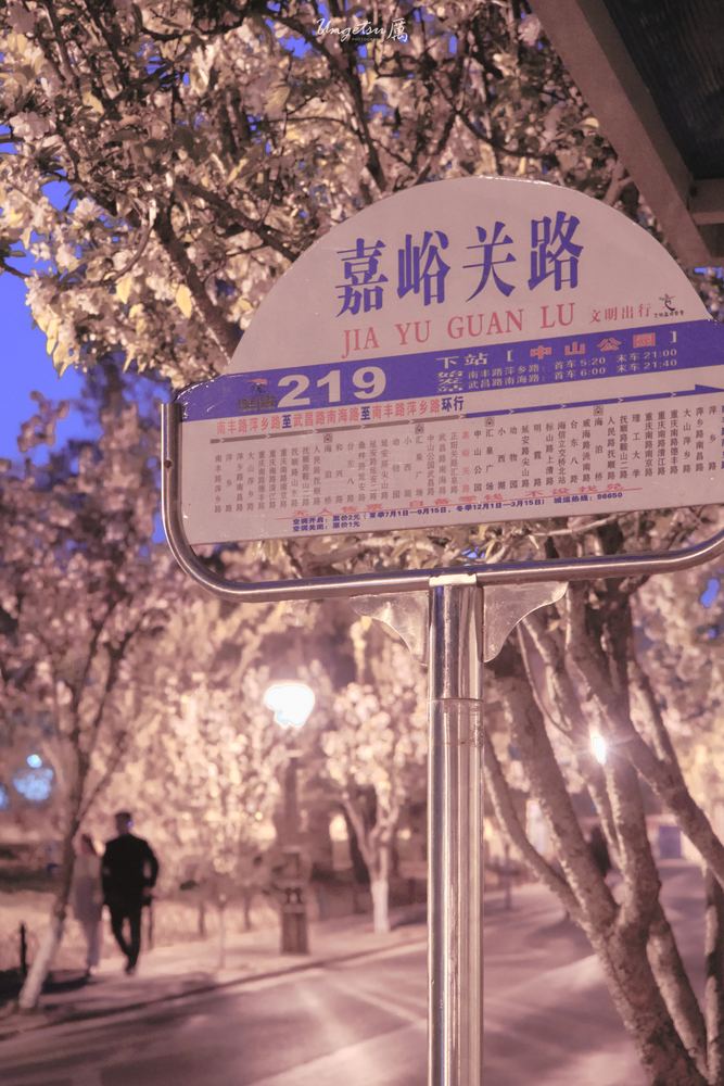 青岛之行 4