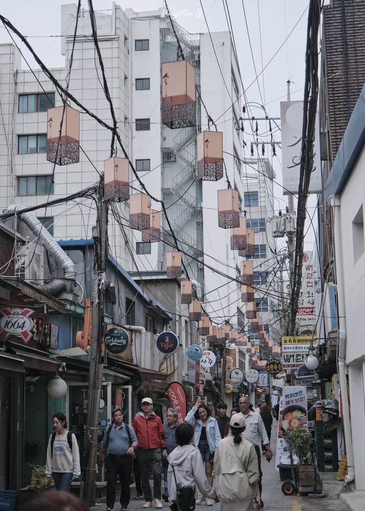 首尔朝圣 42