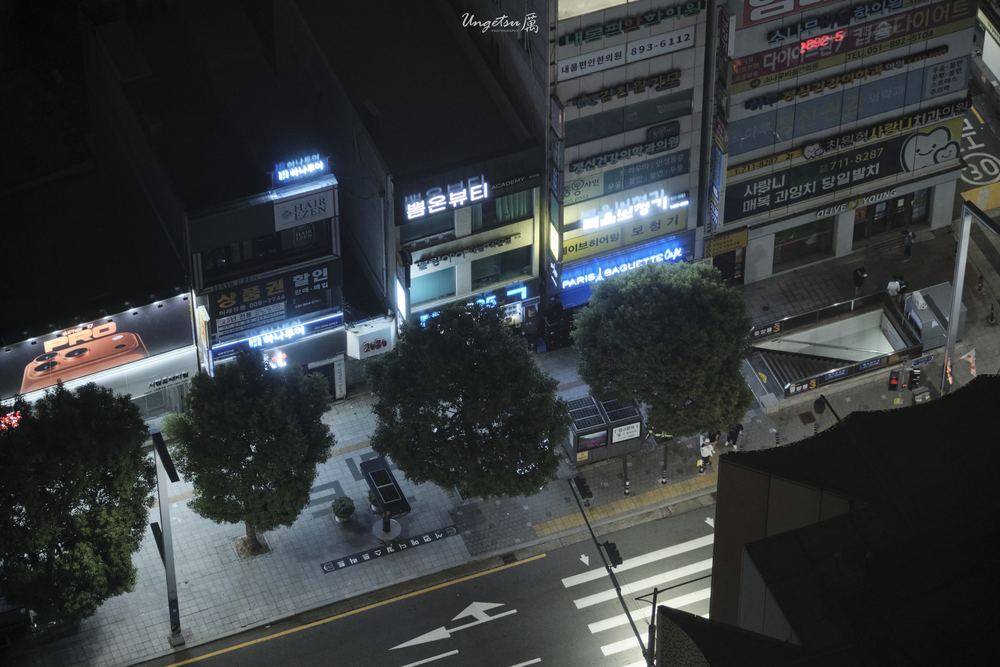 釜山之秋 44