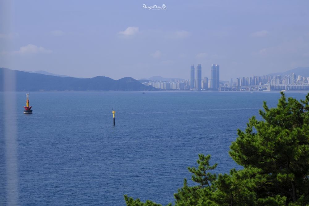 釜山之秋 75