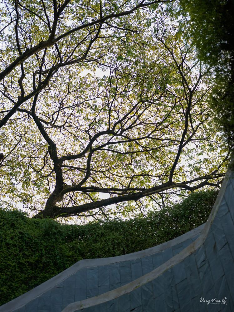 相机漂流 · 东八区 2024.03.20